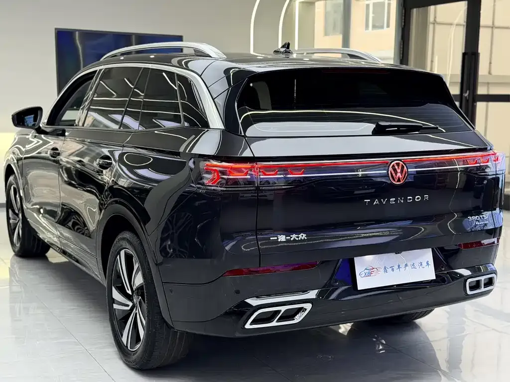 Volkswagen Tavendor 2023 из CN, фото 10