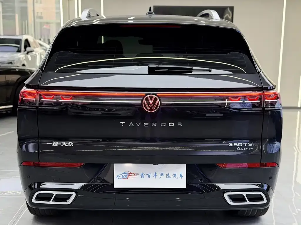 Volkswagen Tavendor 2023 из CN, фото 9