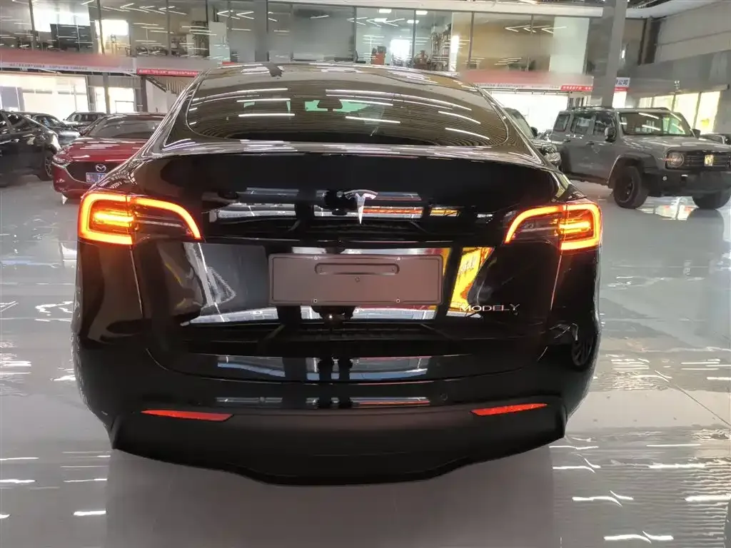Tesla Model Y — фото 6