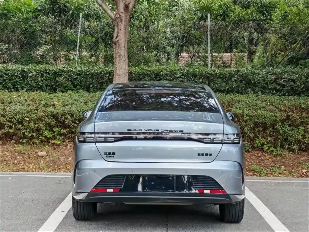 BYD Destroyer 05 2024 из CN, фото 10