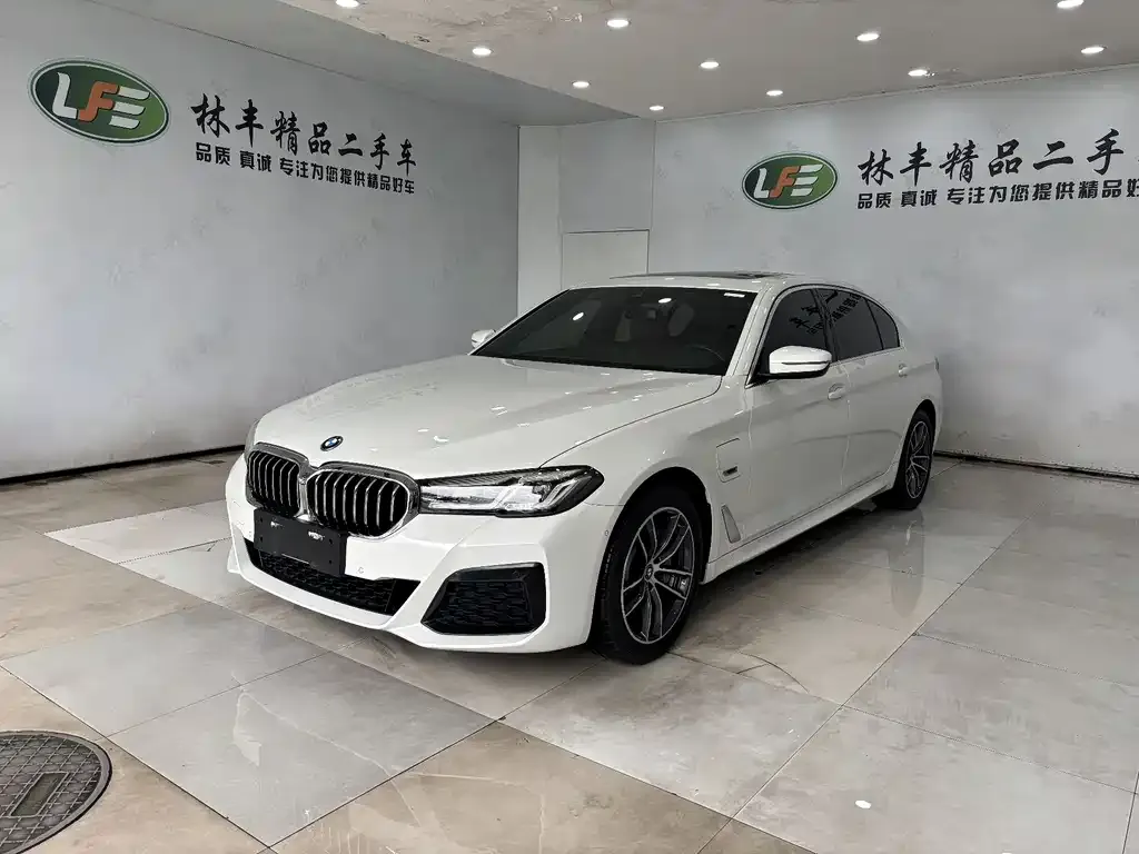 BMW 5 Series New Energy 2023 из CN, фото 1