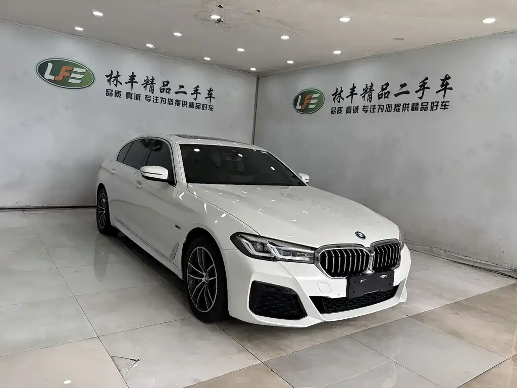 BMW 5 Series New Energy 2023 из CN, фото 4