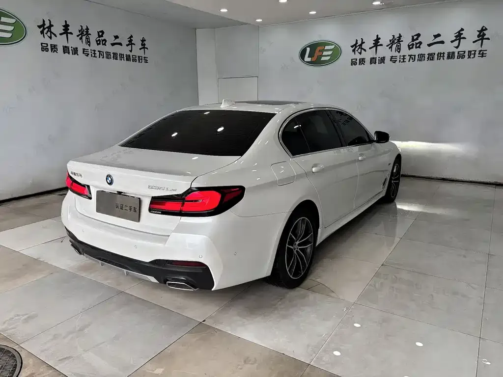 BMW 5 Series New Energy 2023 из CN, фото 6