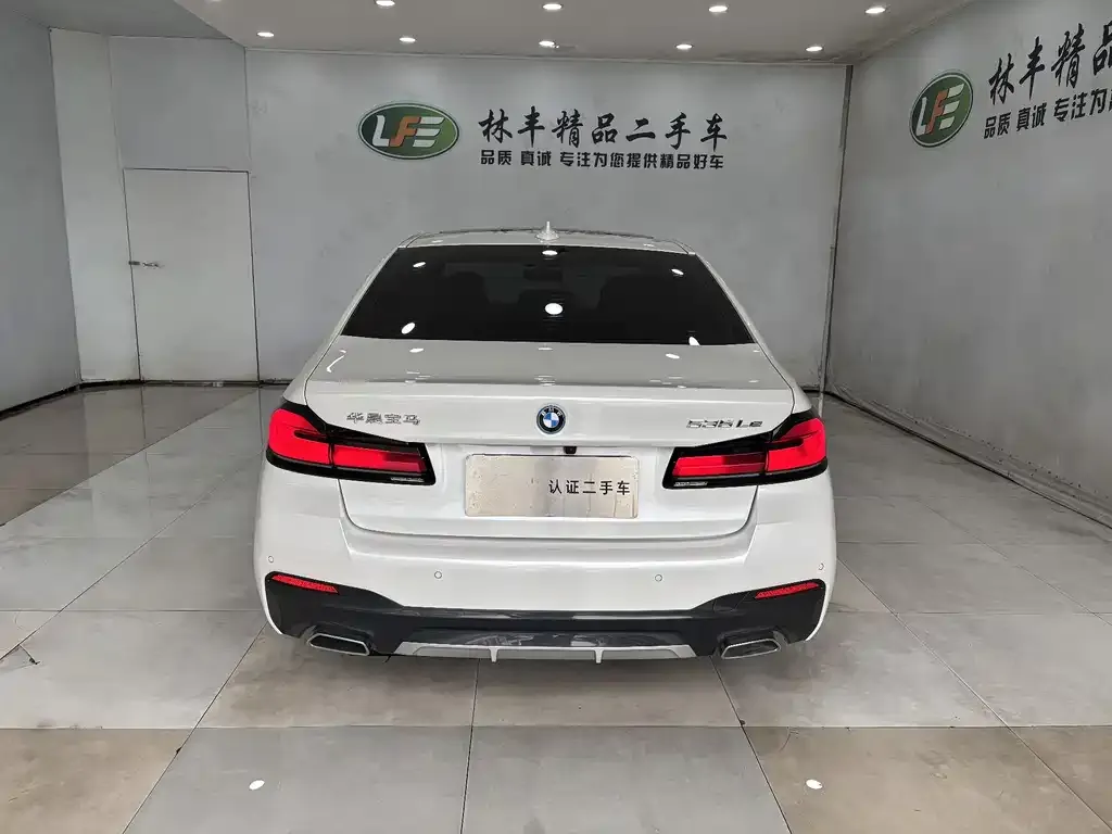 BMW 5 Series New Energy 2023 из CN, фото 7