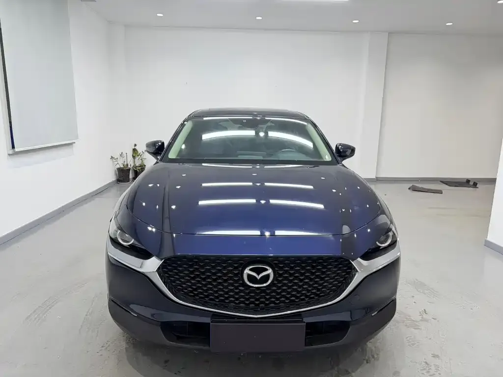 Mazda CX-30 2021 из CN, фото 2