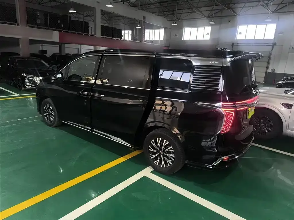 Hongqi HQ9 PHEV 2024 из CN, фото 5