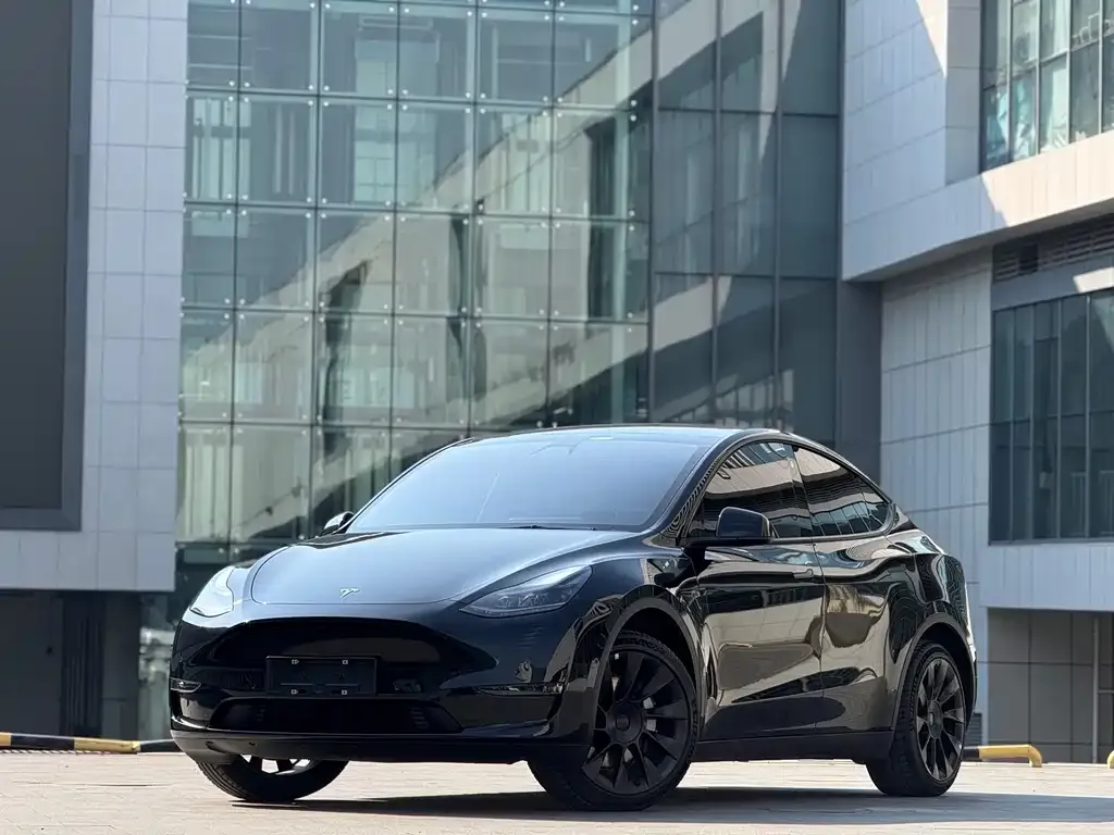 Tesla Model Y — фото 1