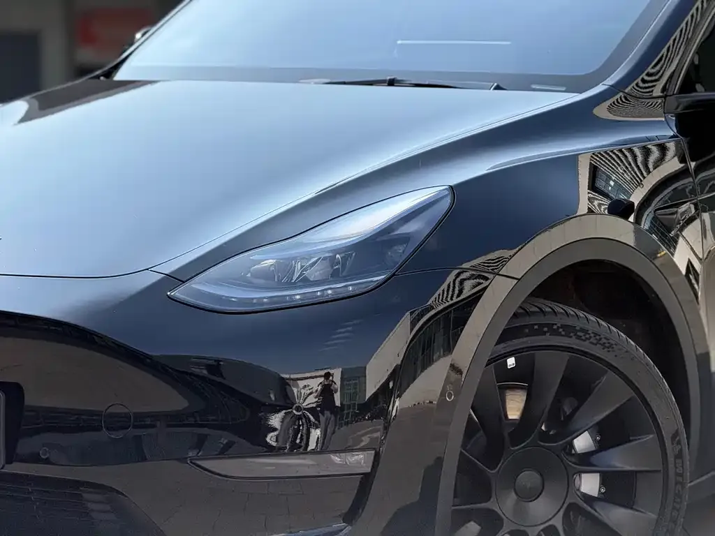 Tesla Model Y — фото 2