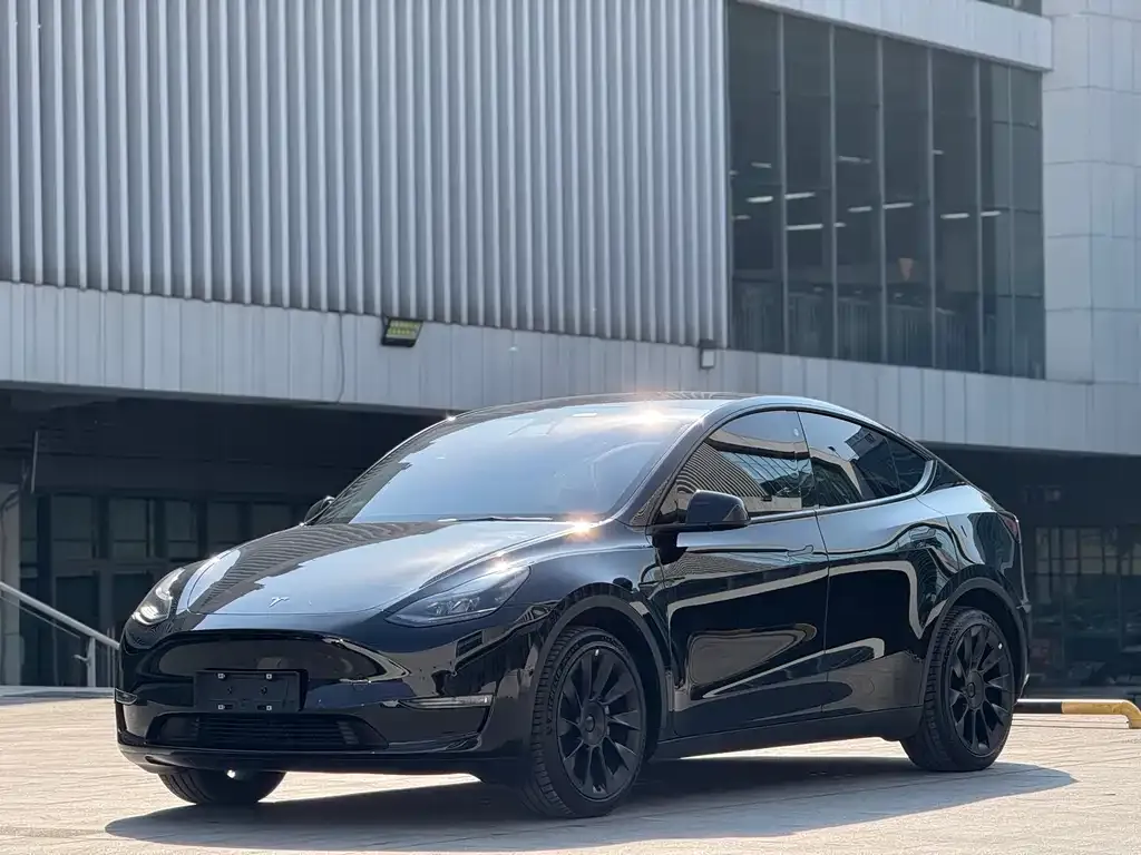 Tesla Model Y — фото 3
