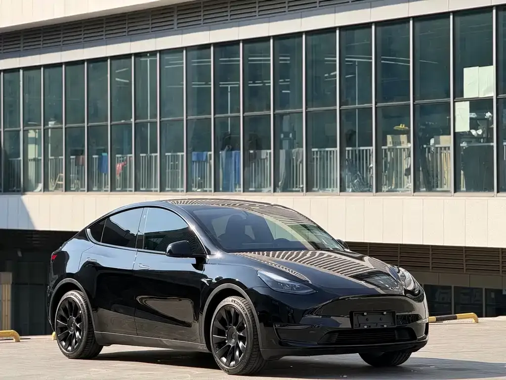 Tesla Model Y — фото 4