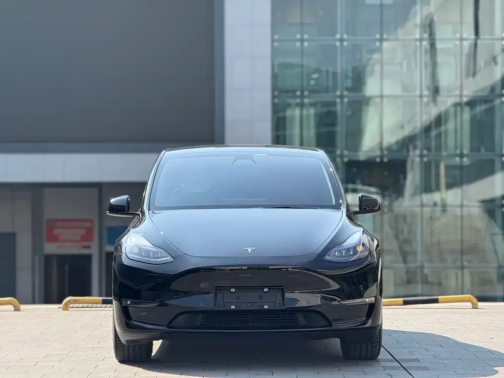 Tesla Model Y — фото 5