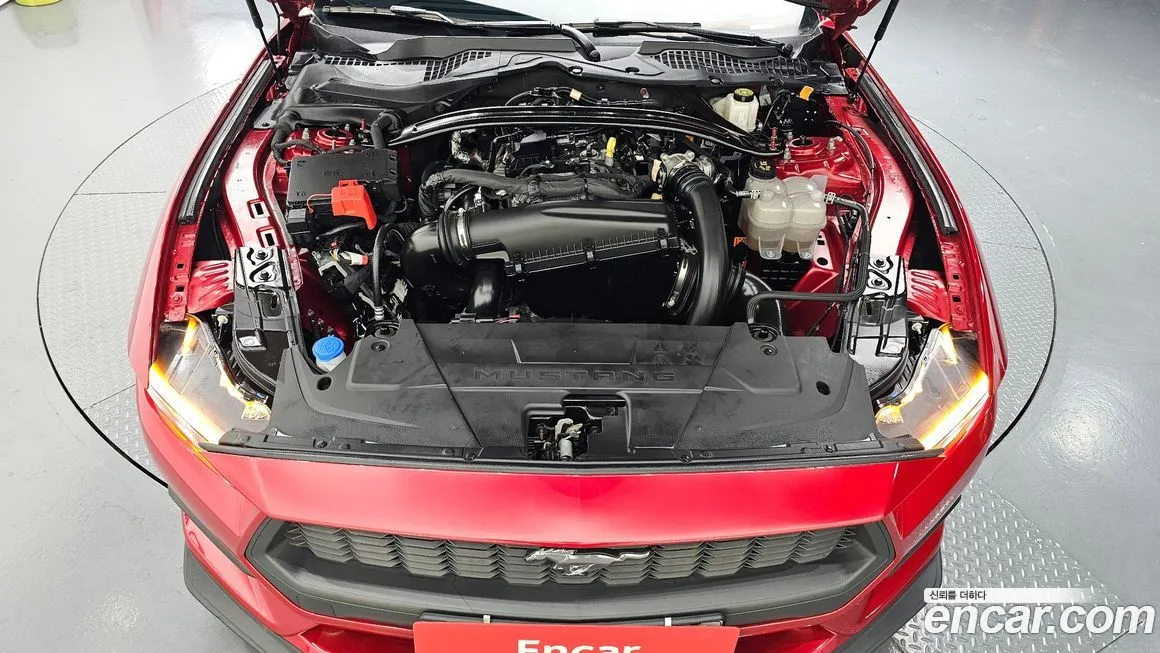 Ford Mustang 2024 из KR, фото 6
