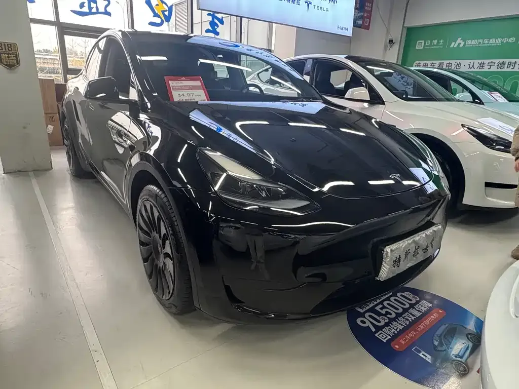 Tesla Model Y — фото 3