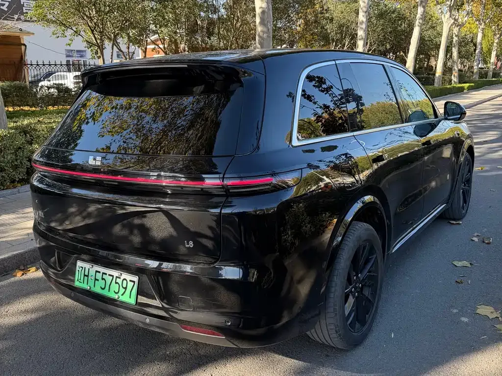 Li Auto Li L8 2023 из CN, фото 10