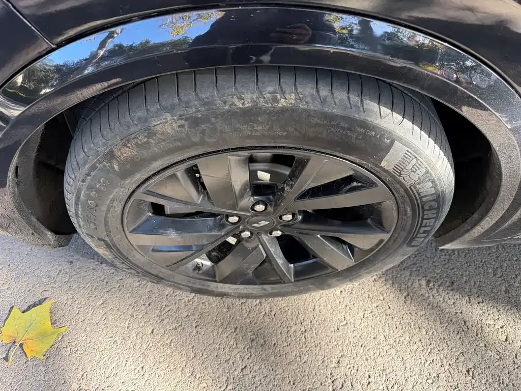 Li Auto Li L8 2023 из CN, фото 4