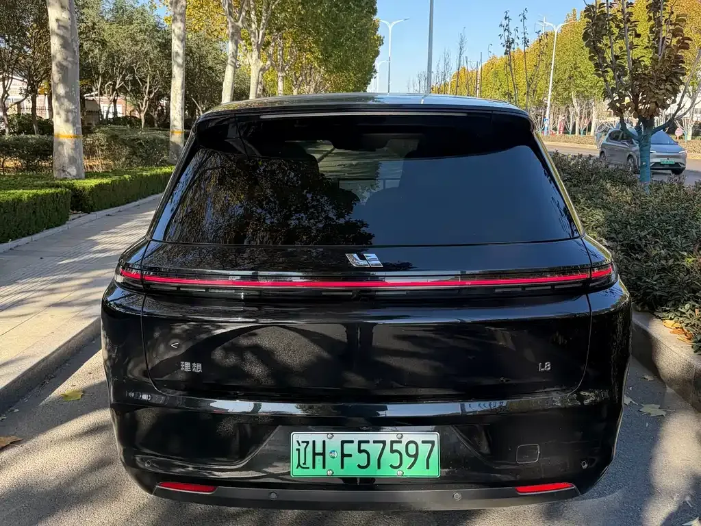 Li Auto Li L8 2023 из CN, фото 9