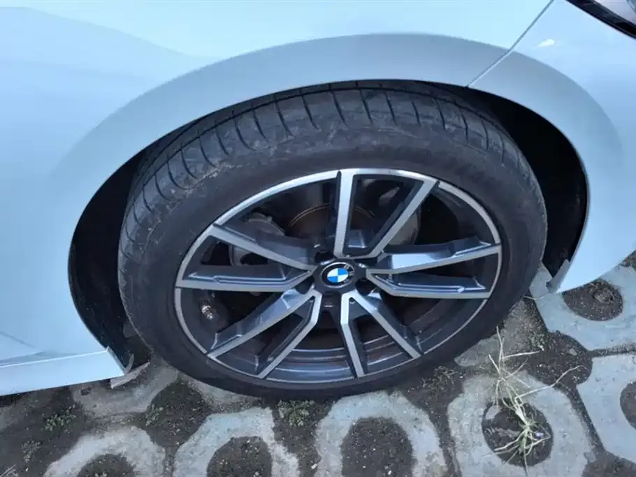 BMW 3 Series 2022 из CN, фото 6