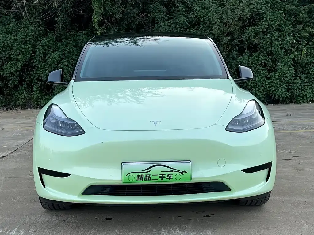 Tesla Model Y — фото 2