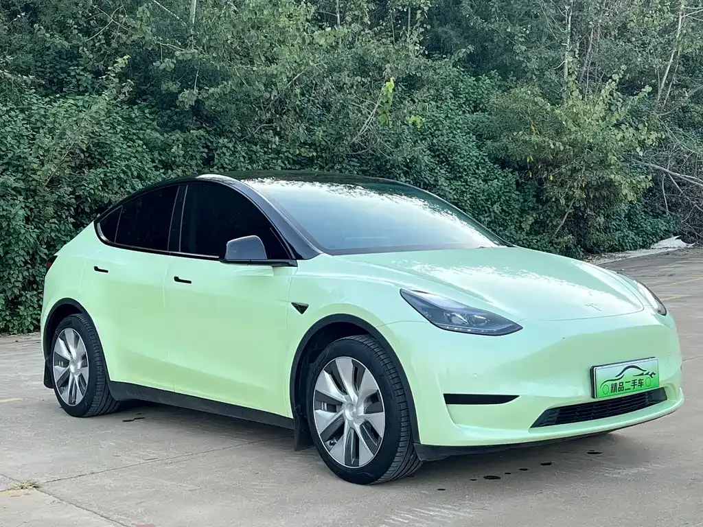 Tesla Model Y — фото 3