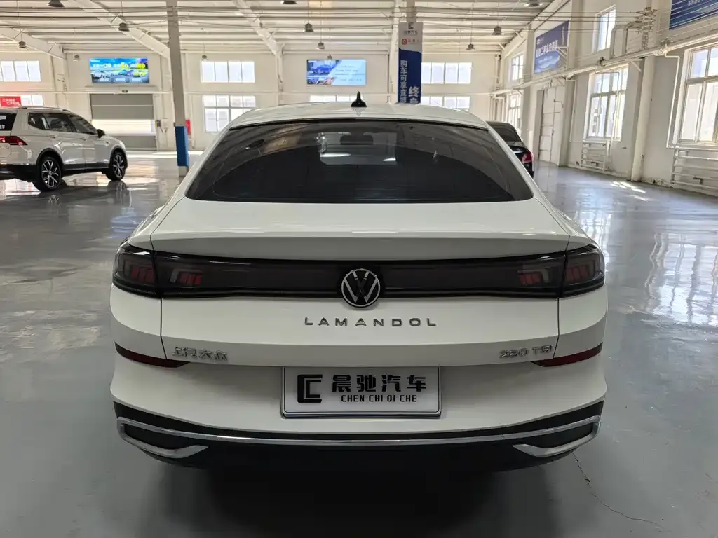 Volkswagen Lamando 2024 из CN, фото 5