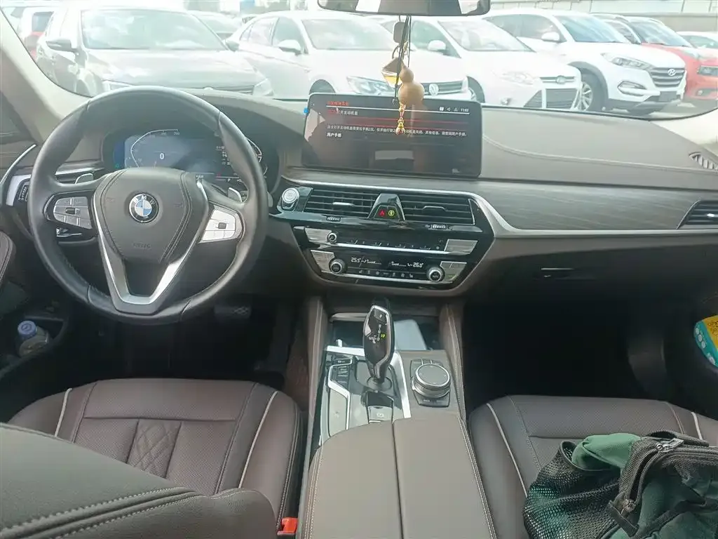 BMW 5 Series 2023 из CN, фото 10