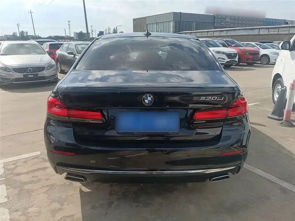 BMW 5 Series 2023 из CN, фото 6