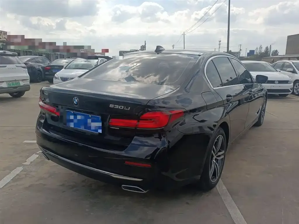 BMW 5 Series 2023 из CN, фото 7