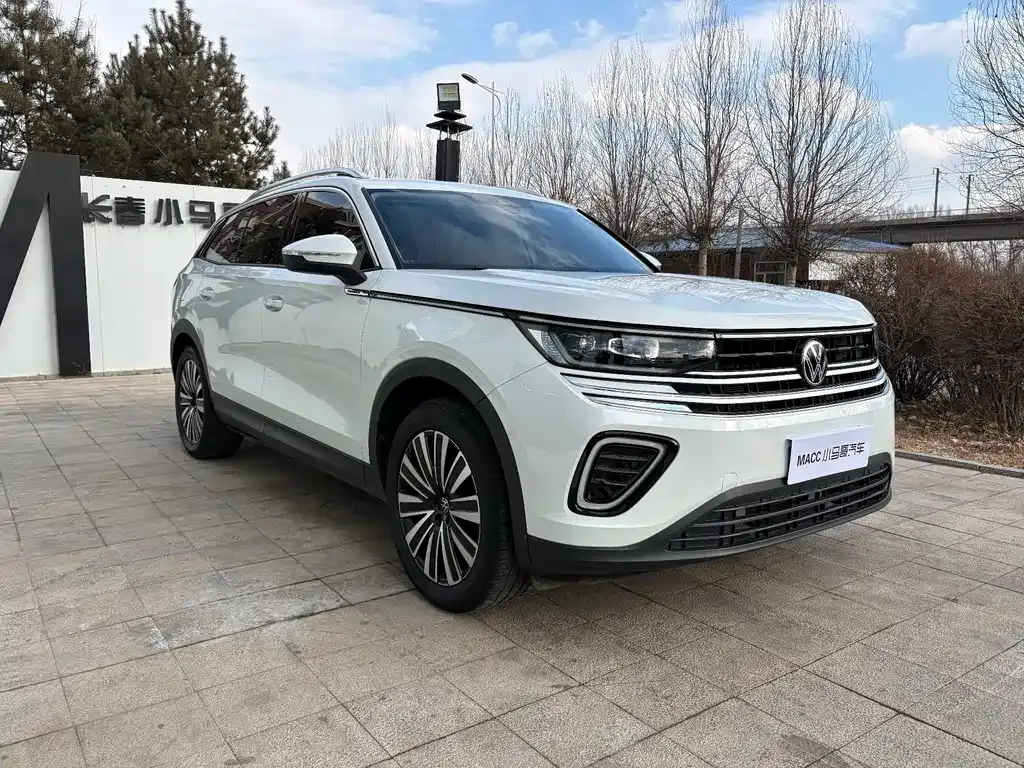 Volkswagen Tavendor 2025 из CN, фото 2