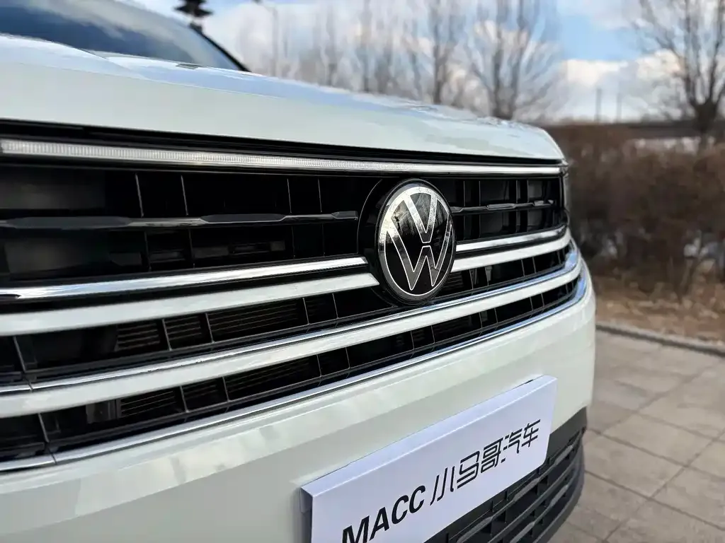 Volkswagen Tavendor 2025 из CN, фото 5
