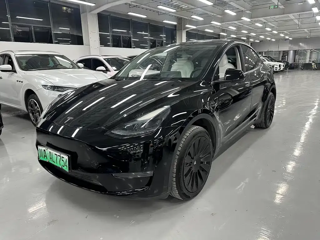 Tesla Model Y 2023 из CN, фото 1