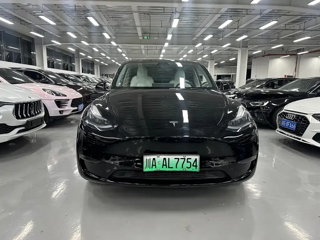 Tesla Model Y 2023 из CN, фото 2