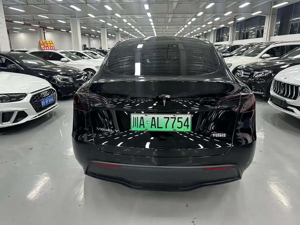 Tesla Model Y 2023 из CN, фото 8