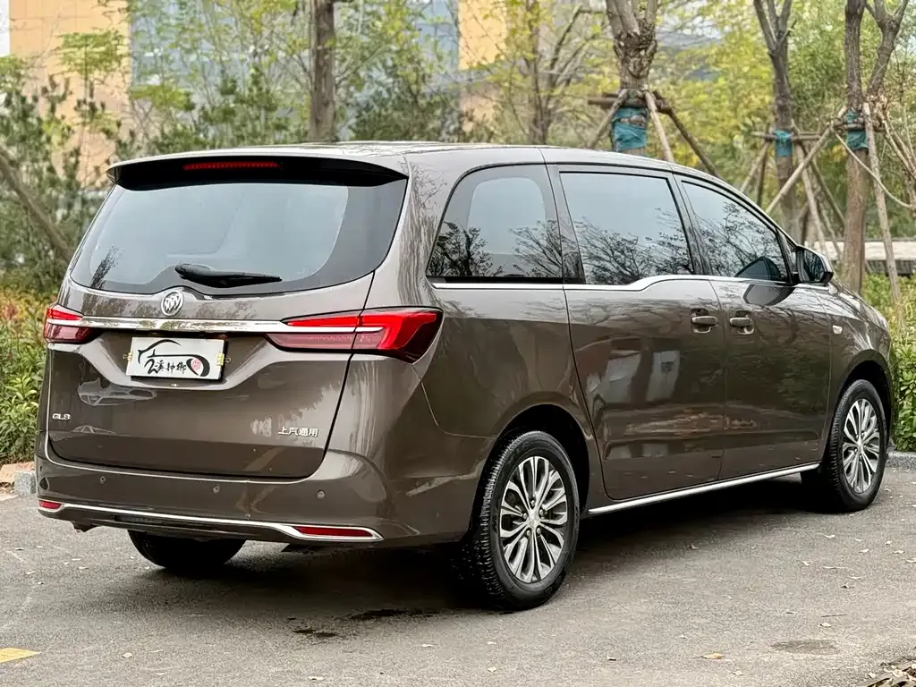 Buick GL8 2023 из CN, фото 4