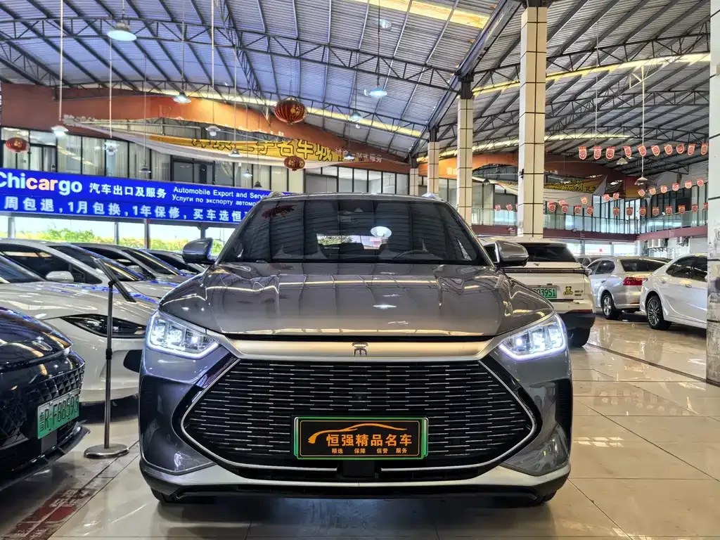 BYD PLUS New Energy 2022 из CN, фото 2