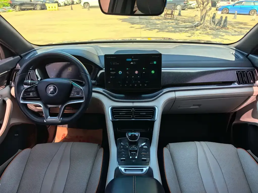 BYD PLUS New Energy 2022 из CN, фото 6
