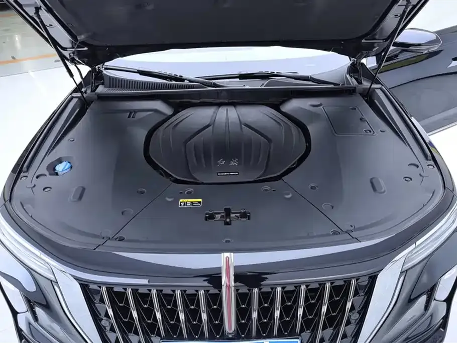 Hongqi H9 2025 из CN, фото 10