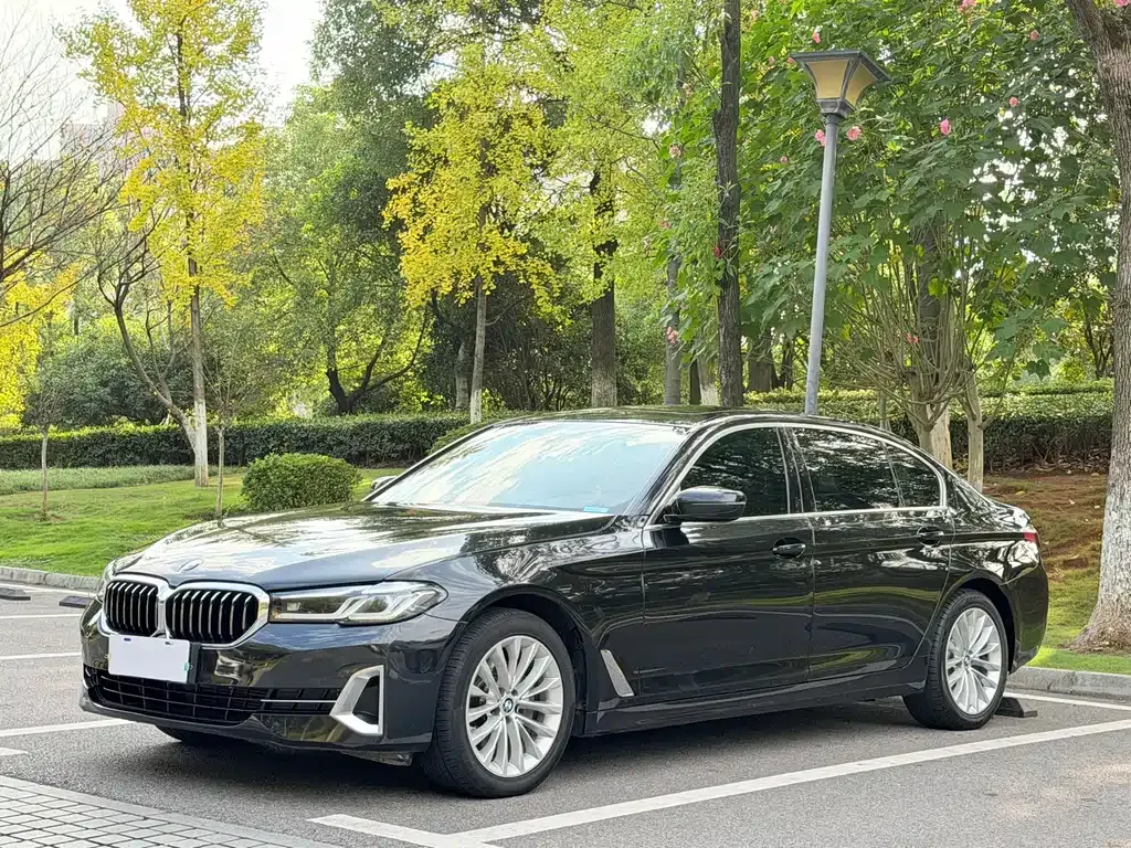 BMW 5 Series 2022 из CN, фото 1
