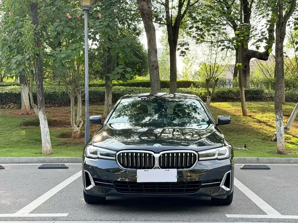 BMW 5 Series 2022 из CN, фото 2