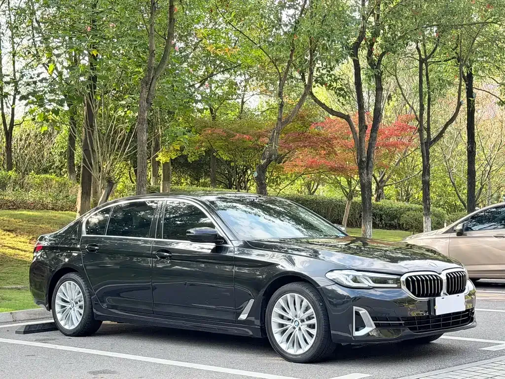 BMW 5 Series 2022 из CN, фото 3