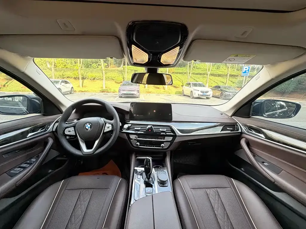 BMW 5 Series 2022 из CN, фото 7