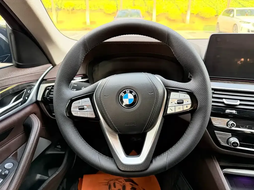 BMW 5 Series 2022 из CN, фото 8