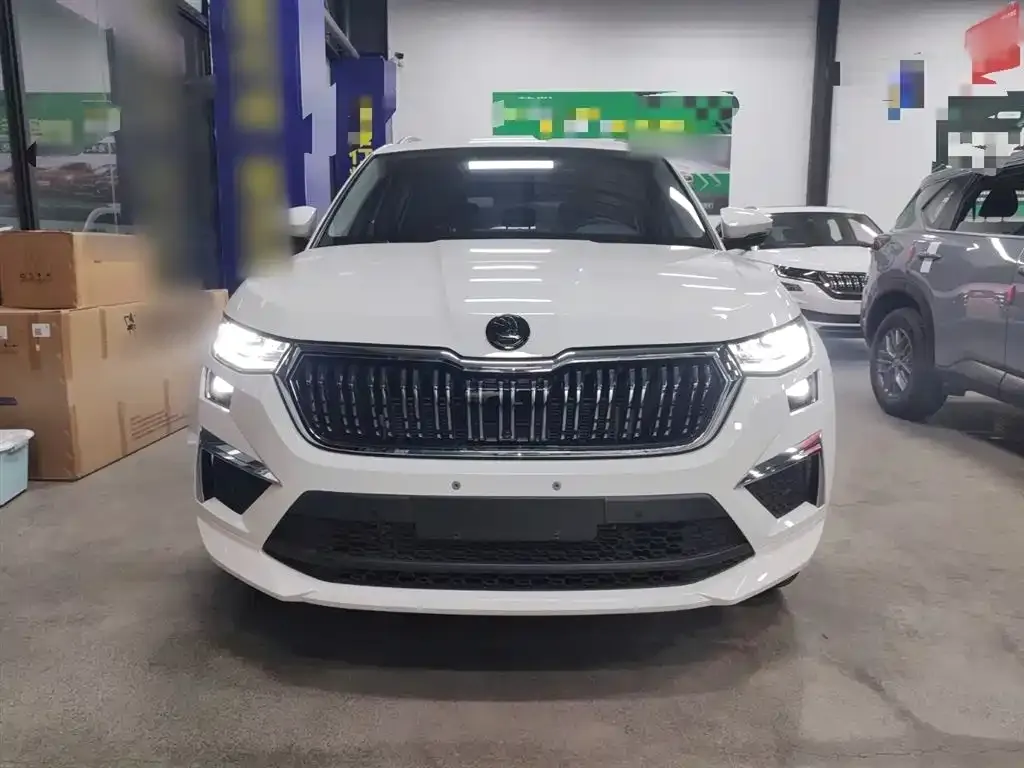 Skoda Kodiaq 2024 из CN, фото 3