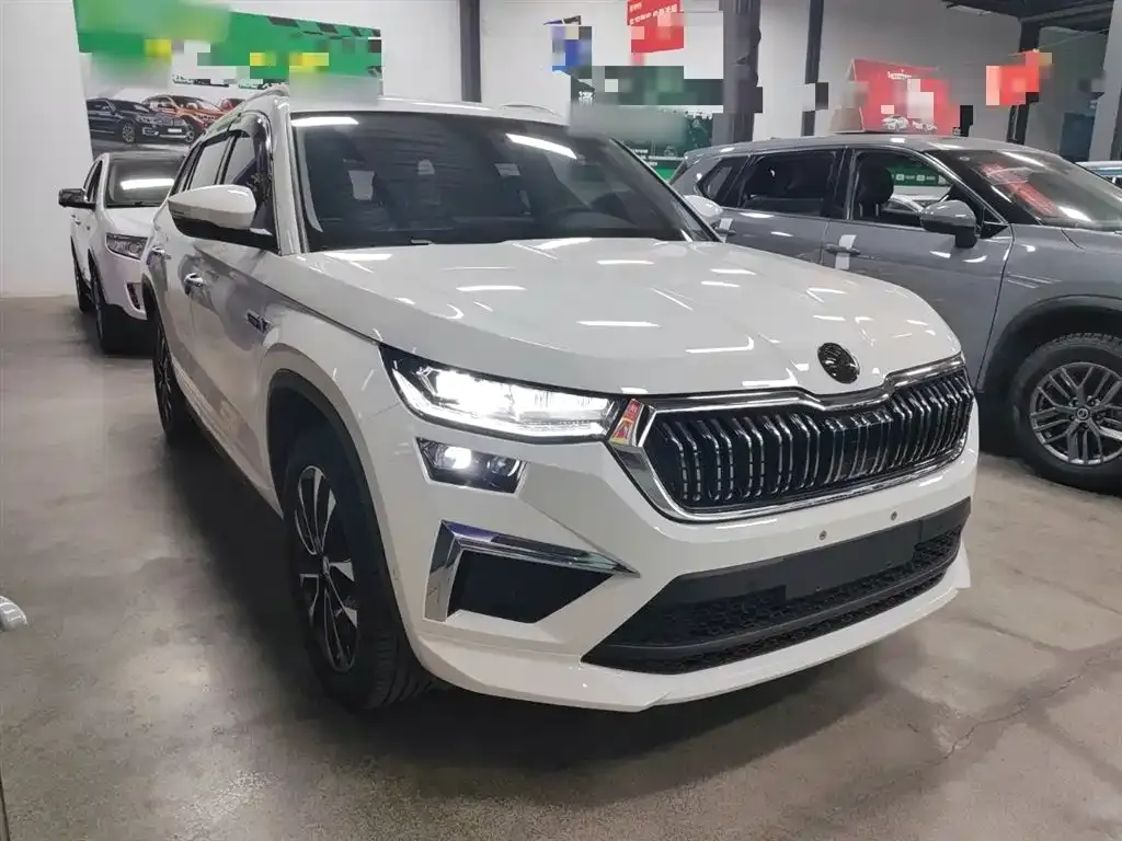 Skoda Kodiaq 2024 из CN, фото 4