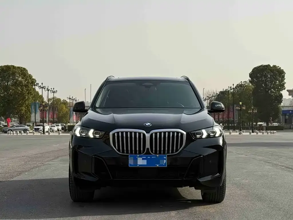 BMW X5 2024 из CN, фото 3