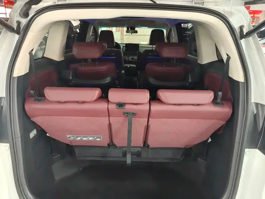 Honda Elysion 2023 из CN, фото 10
