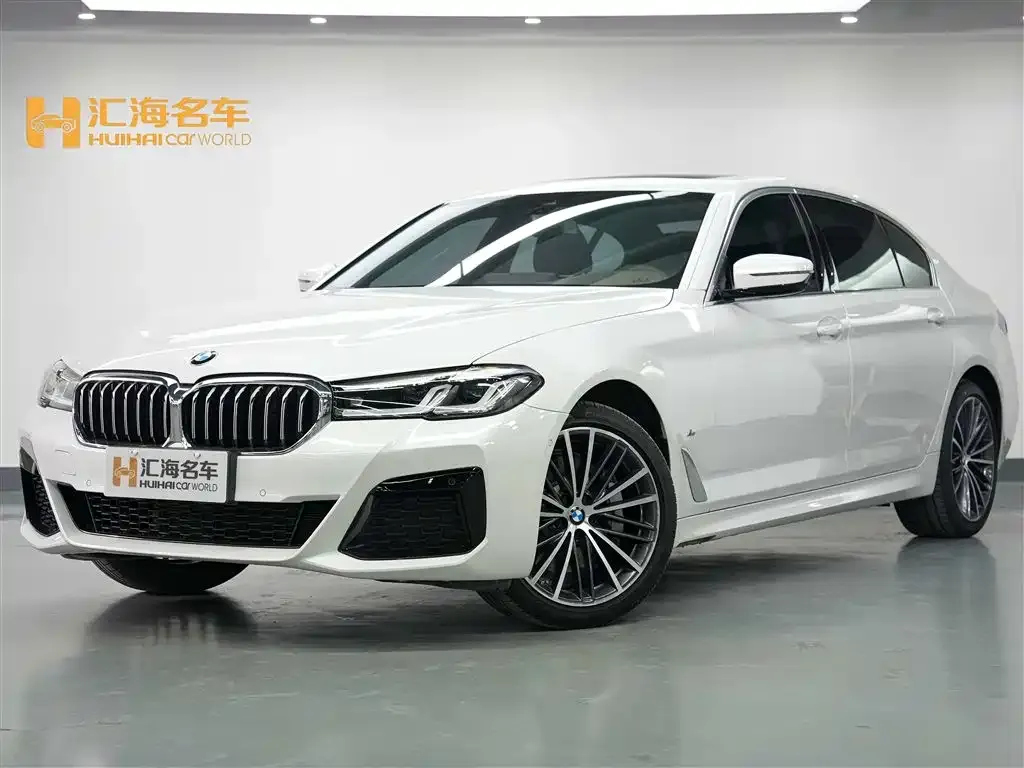 BMW 5 Series 2024 из CN, фото 1