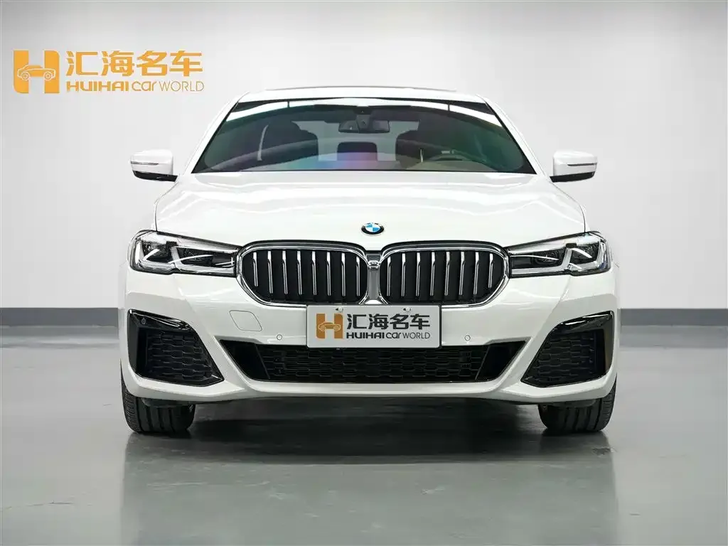 BMW 5 Series 2024 из CN, фото 2