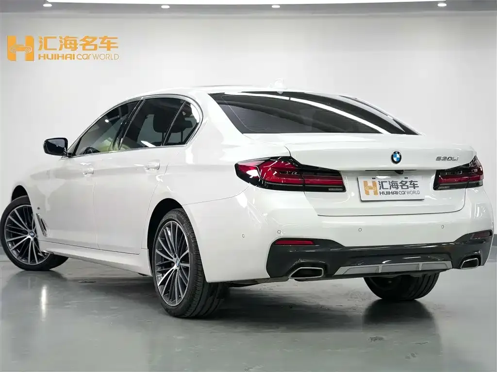 BMW 5 Series 2024 из CN, фото 4