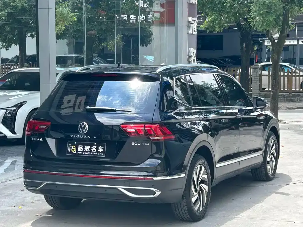 Volkswagen Tiguan L 2024 из CN, фото 9