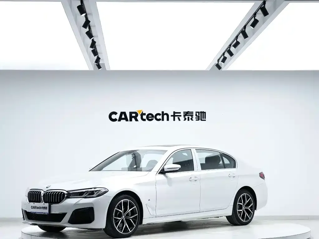 BMW 5 Series 2021 из CN, фото 1